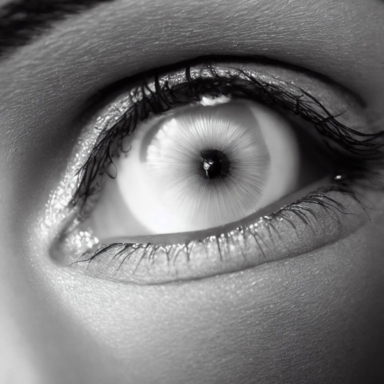Detailed grayscale human eye close-up with iris and eyelashes.