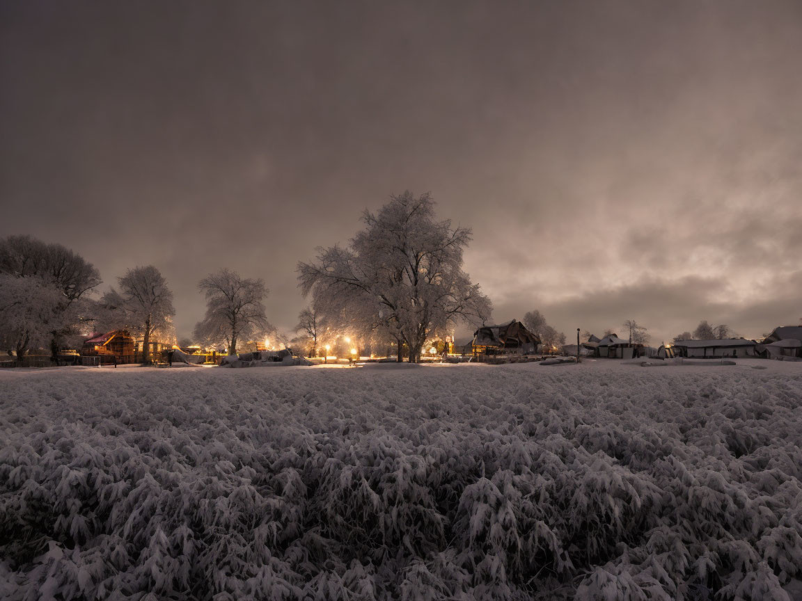 Snow-covered wintry twilight scene with bare trees and warm lights glowing from distant houses.