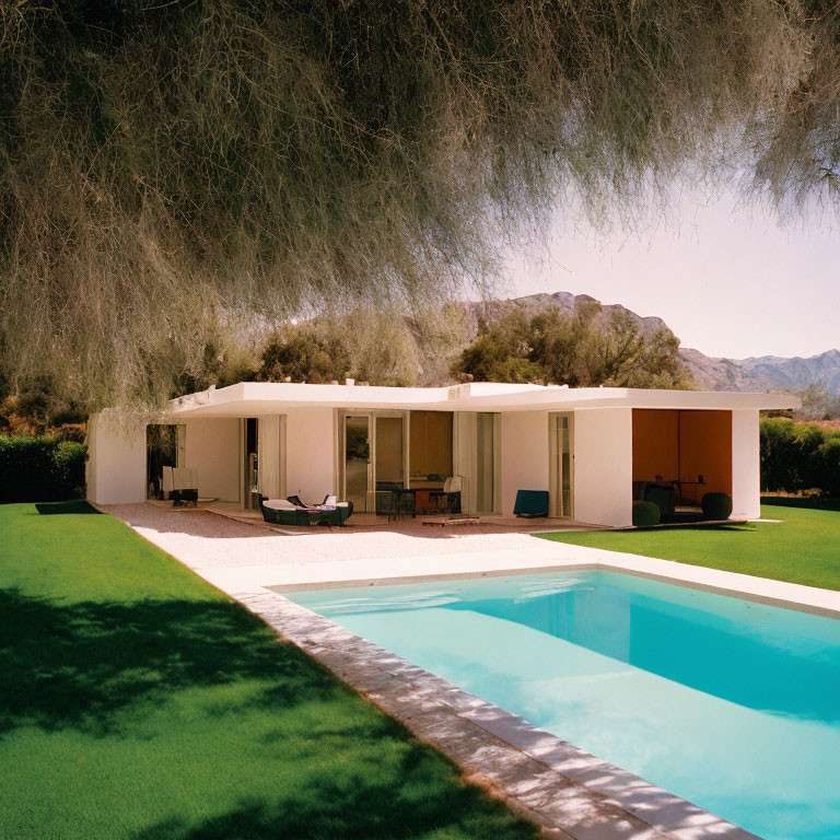 Mid-Century Modern House with Large Windows, Flat Roof, Pool, and Green Landscape
