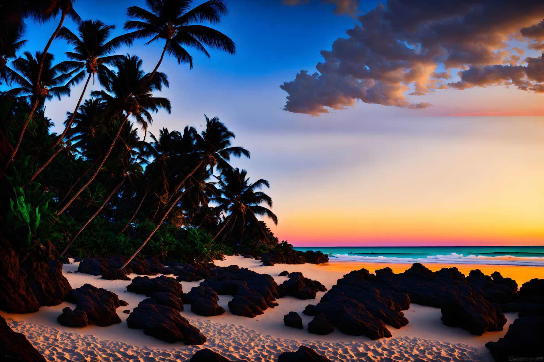 Scenic sunset tropical beach with palm trees and rocky shore