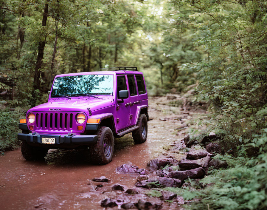 Purple Jeep parked on rocky trail amidst lush green trees