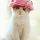 Whimsical white cat with green eyes in pink hat and pastel beads