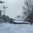 Snow-covered trees and wooden cabin in tranquil winter scene