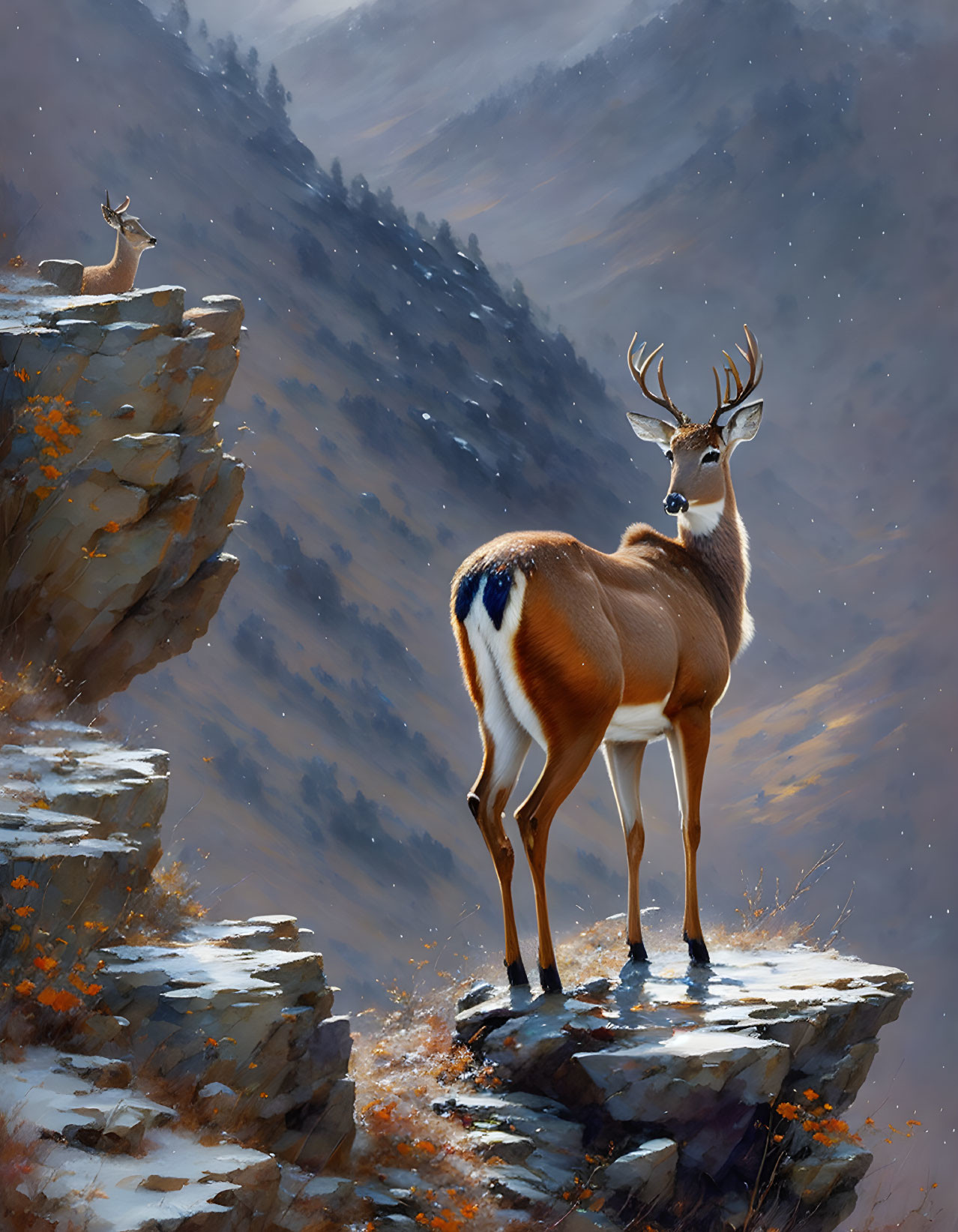 A deer on top of a cliff