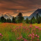 Vivid Watercolor Painting of Flower-Filled Meadow at Dusk