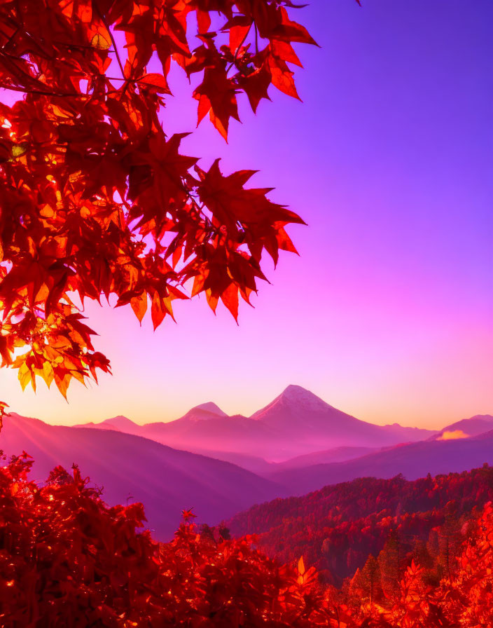 Colorful autumn leaves with purple and pink sunrise over mountains