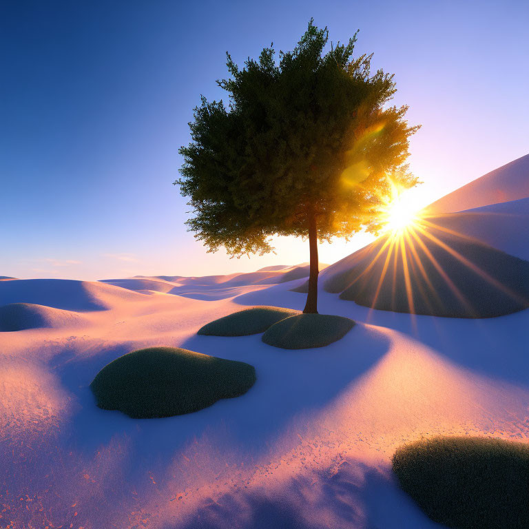 Lush solitary tree in serene sand dunes at sunrise or sunset
