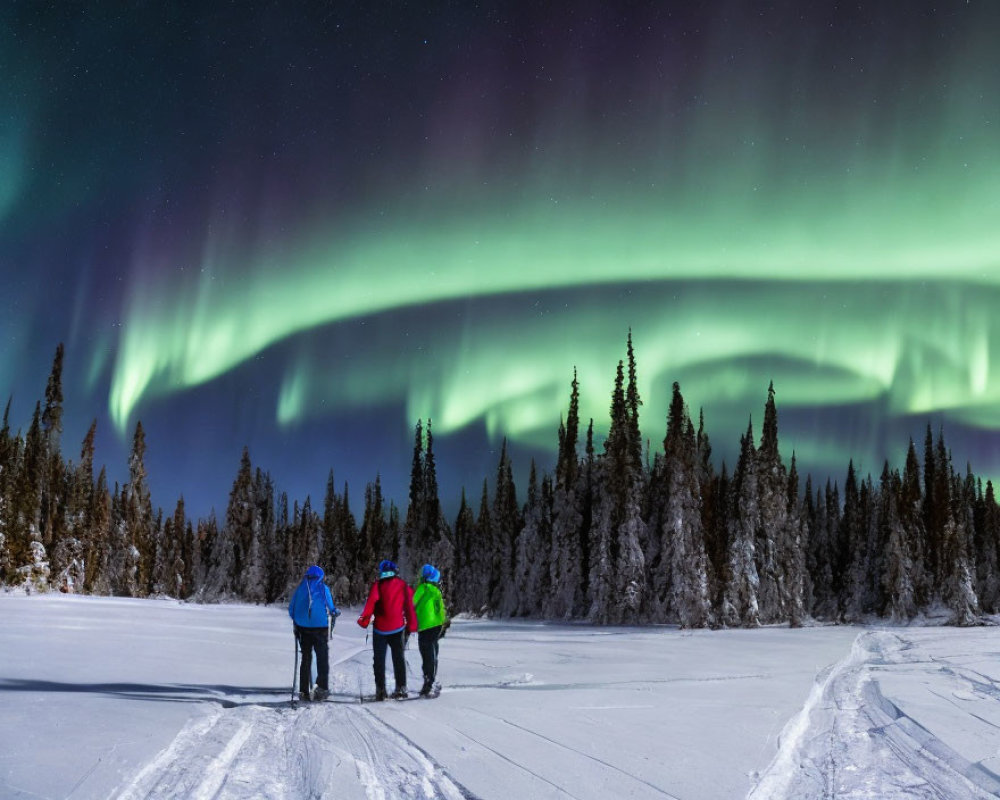 Three People in Winter Clothing Watching Aurora Borealis at Night