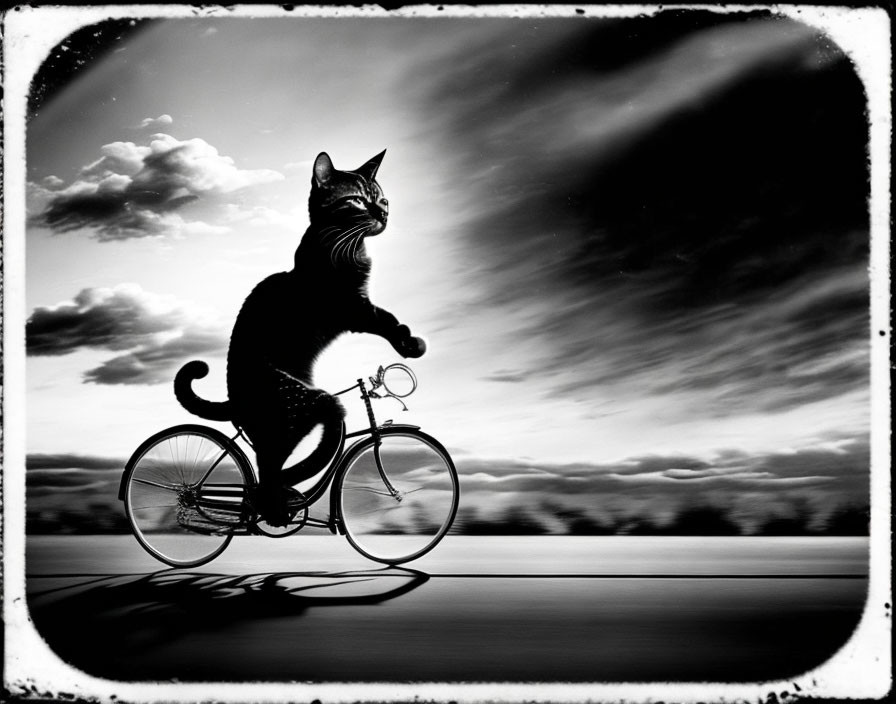 Surreal black and white cat on bicycle under dramatic sky