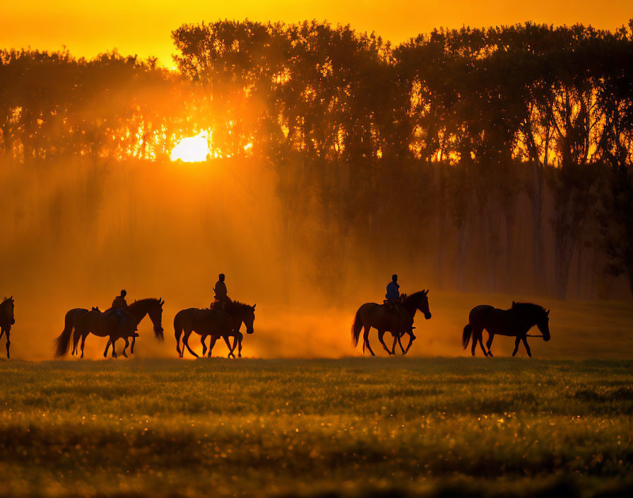 "Galloping Through the Sunset: A Wild Adventure wi