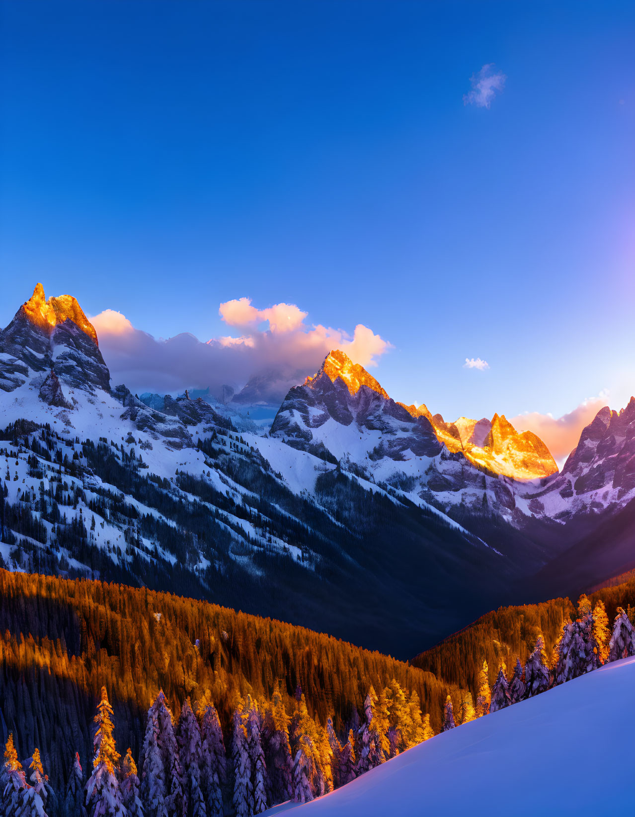 Snow-covered Peaks and Forested Slopes at Sunrise in Alpine Setting