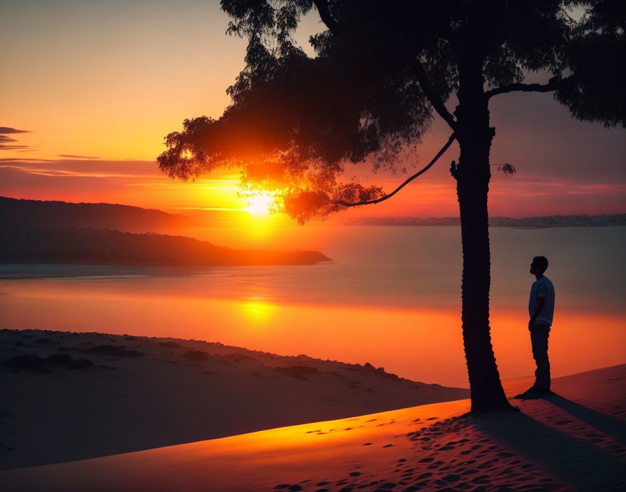 Person admiring sunset by tree on sandy shore with calm waters and hills in the background