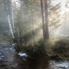 Tranquil forest landscape with sunlight, mist, moss-covered rocks, red foliage, and stream