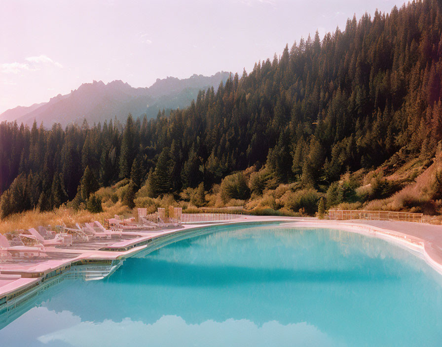 Azure Pool Overlooking Pine Forest and Mountains