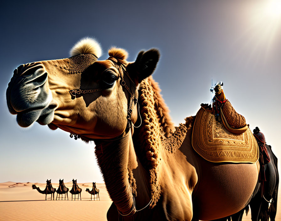Camel with decorative harness and rider, caravan in sunlit desert.