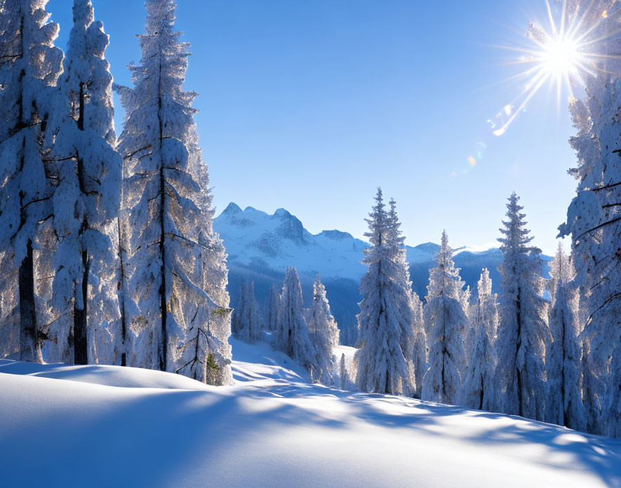 Winter landscape with snow-covered trees and mountain peaks under blue sky