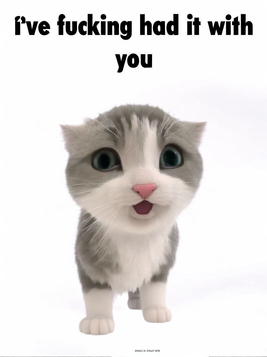 Surprised Cat Animated Image with Frustration Caption