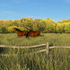 Vibrant field with two horses, blue flowers, colorful trees, and birds in clear sky