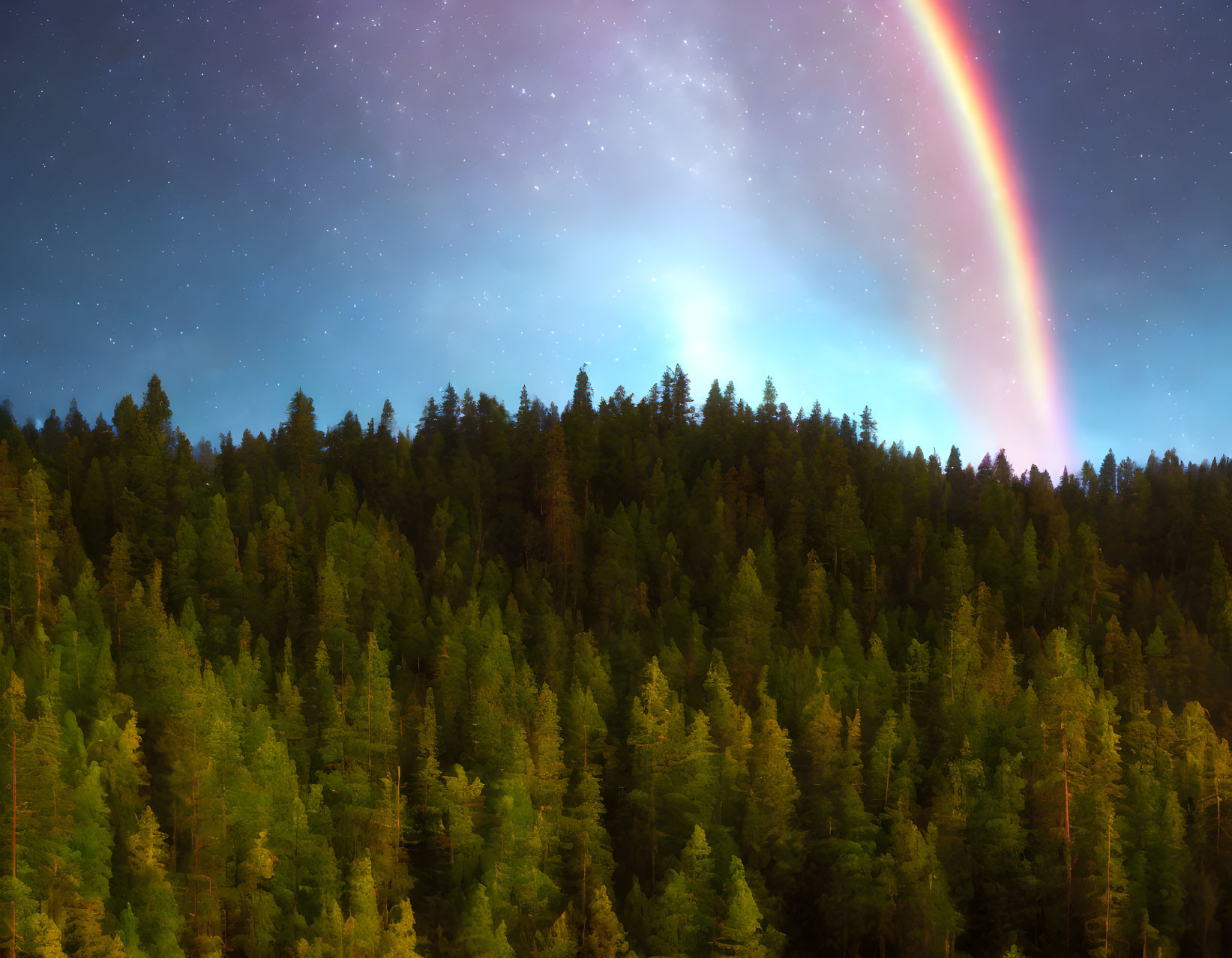 Starry Night Sky with Rainbow over Dense Evergreen Forest