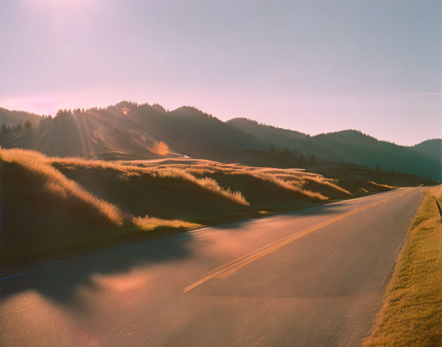 Scenic image of winding road through golden fields under warm sunlight