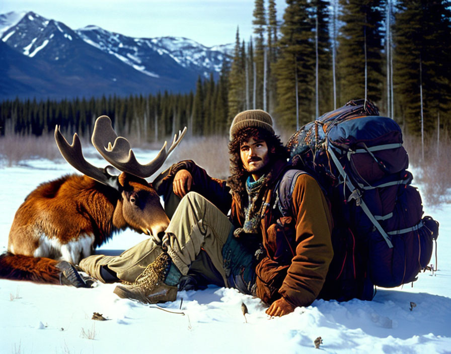 Bearded hiker sitting with moose in snowy forest landscape