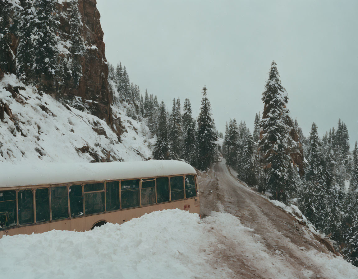 Vintage bus in snowy landscape with pine trees and rocky cliff under overcast sky
