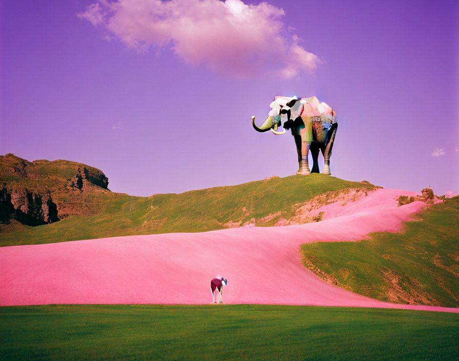 Surreal image: large elephant on pink sand hill, tiny ostrich on green plain