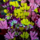 Neon-Colored Glowing Flowers on Dark Background