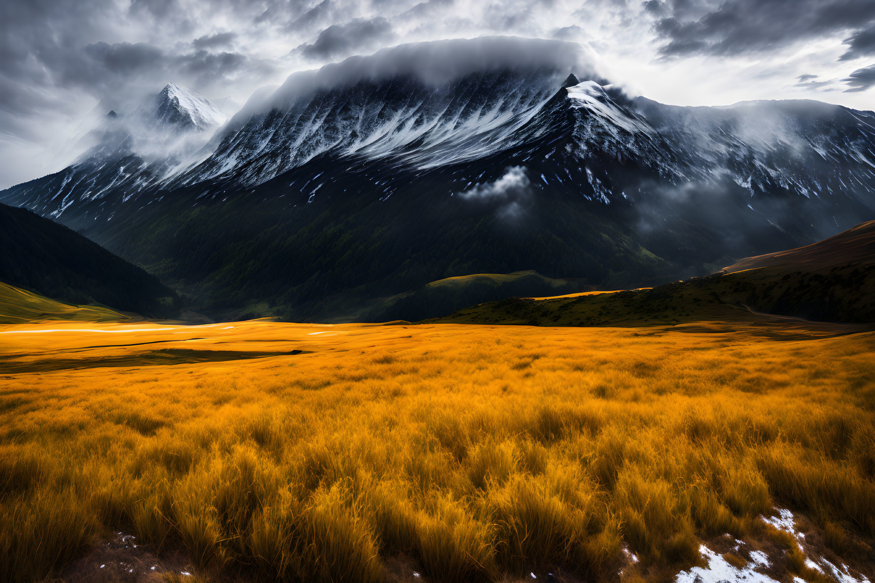 Yellow grass land and snow mountains