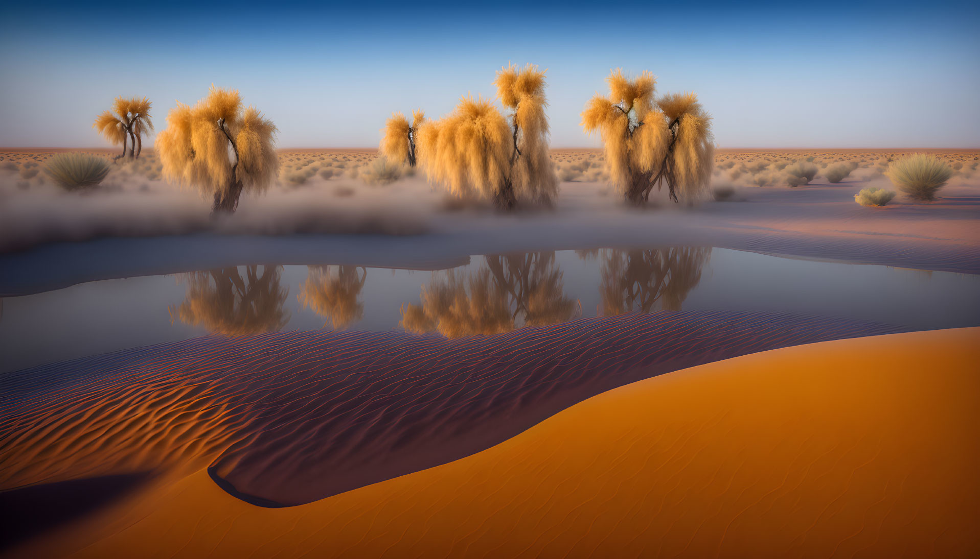Populus euphratica in desert