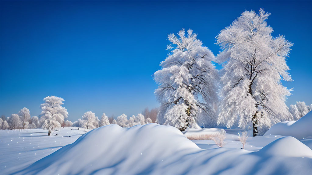 Winter Landscape: Frost-covered Trees, Snowy Hills, Bright Sun