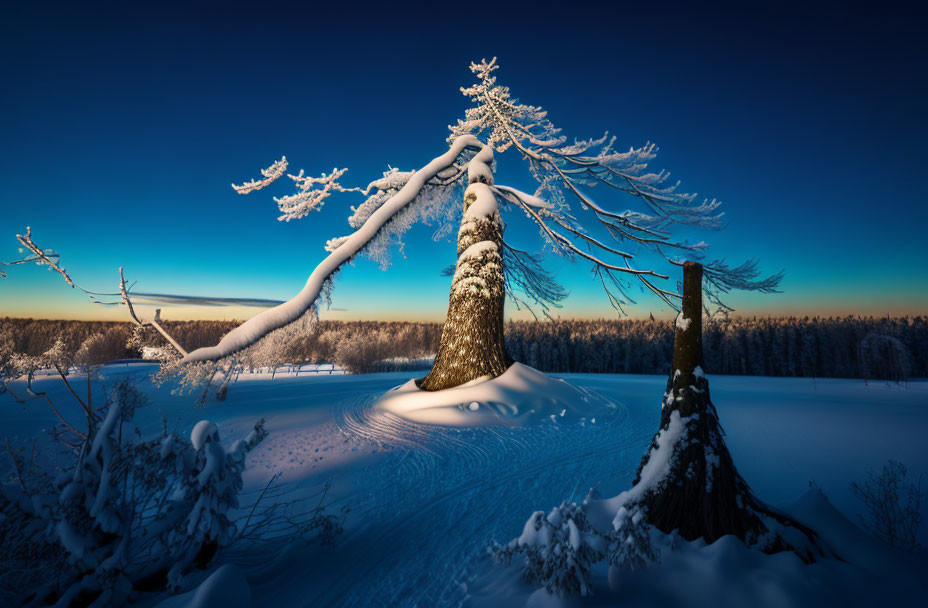 Snowy landscape featuring leaning snow-covered tree against twilight sky.