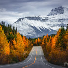 Scenic autumn road with snow-capped mountain view