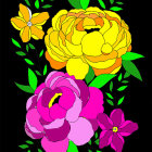 Colorful Digital Artwork: Yellow and Pink Peony Flowers on Black Background