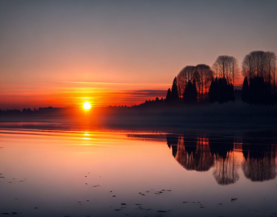 Vibrant orange sunrise reflecting on calm waters with tree silhouettes