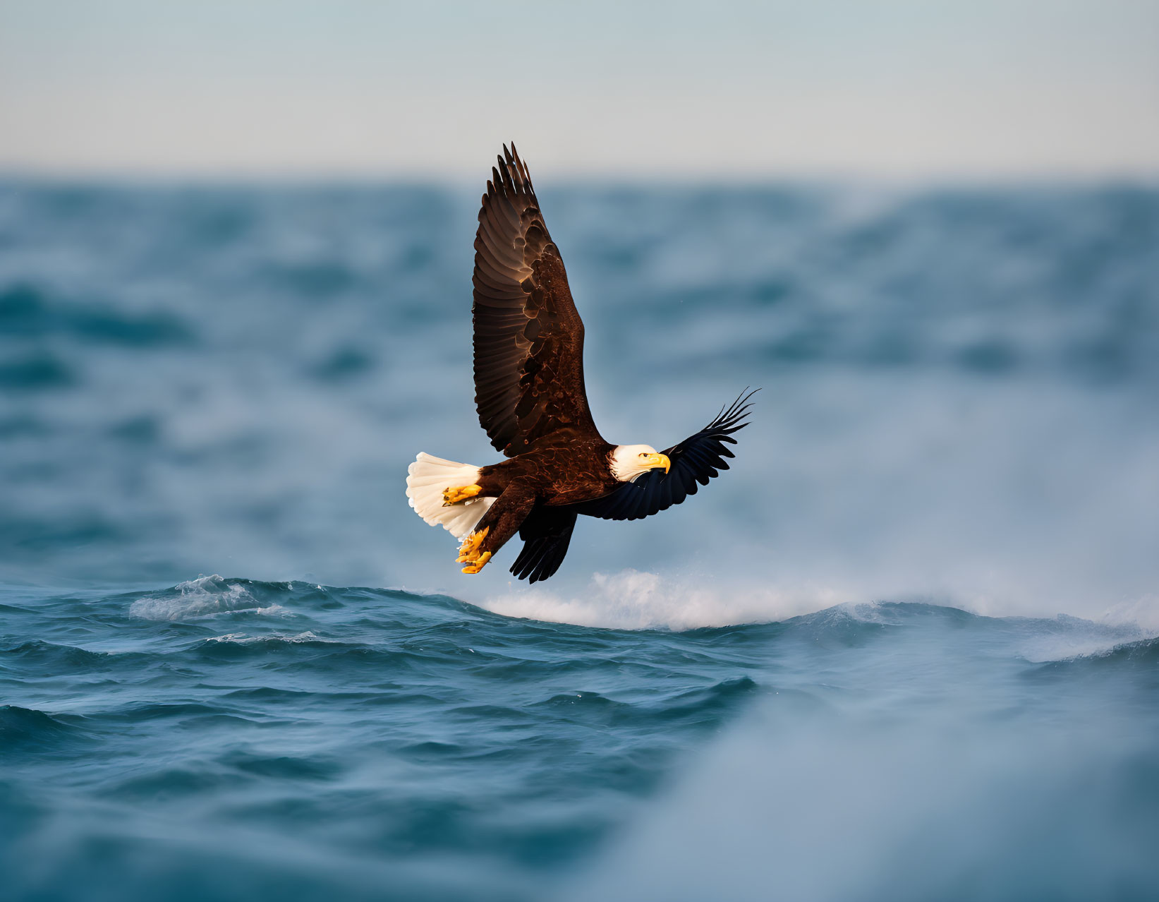 Graceful eagle flying low over wavy sea with spread wings.