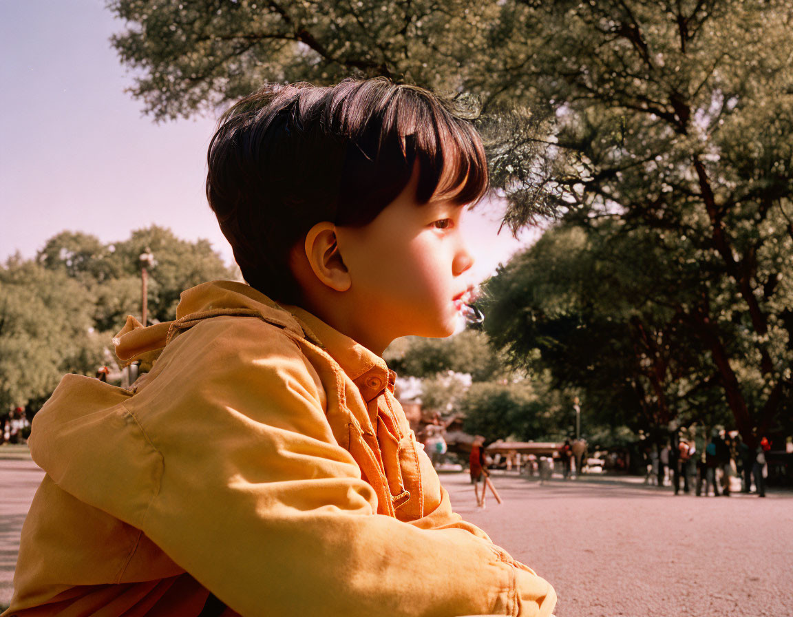Young child in yellow jacket gazes in park setting