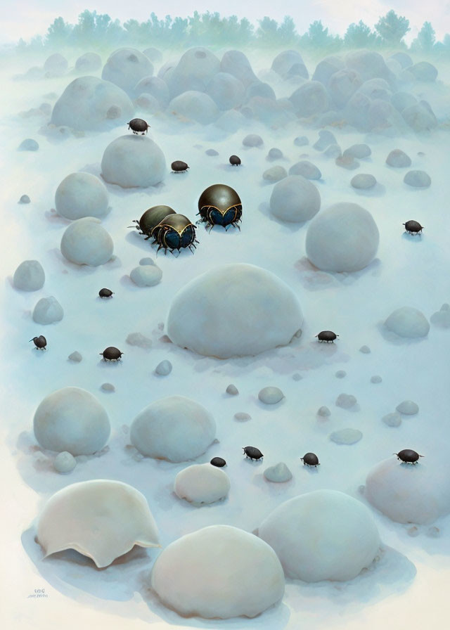 Dung Beetles Emerging from Hibernation
