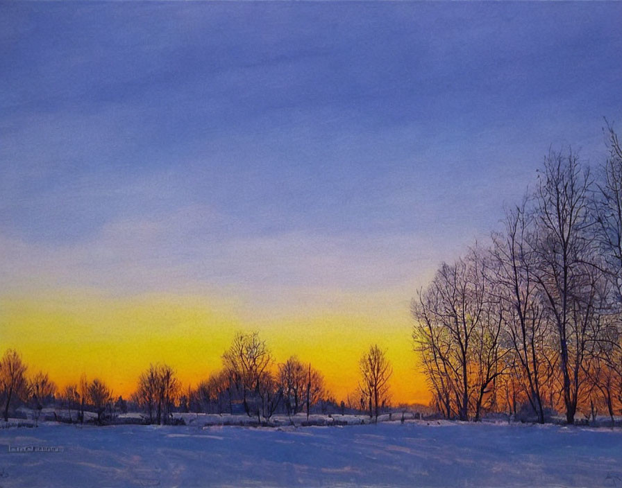 Tranquil winter landscape: bare trees against vibrant dusk sky
