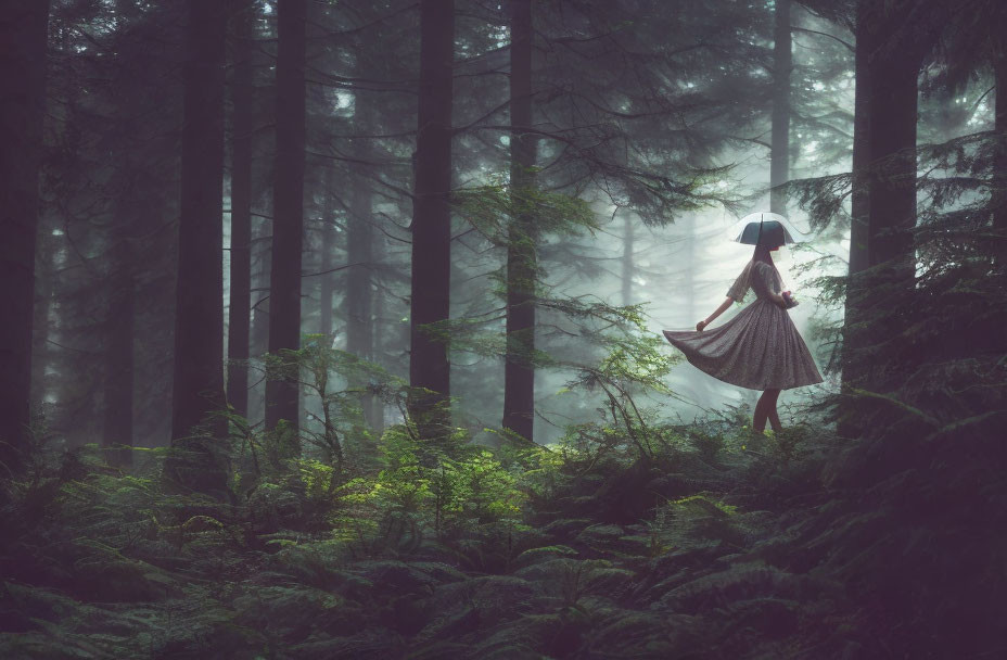 Person in dress with umbrella walking in misty forest with sunlight and lush ferns