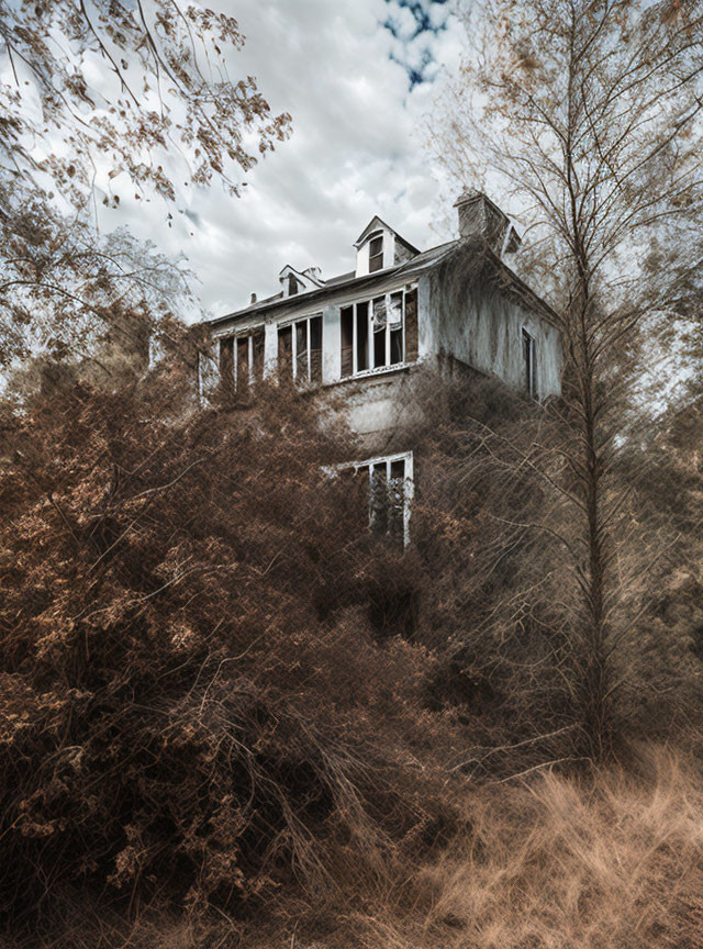 Vintage mansion surrounded by overgrown plants in sepia-toned scene