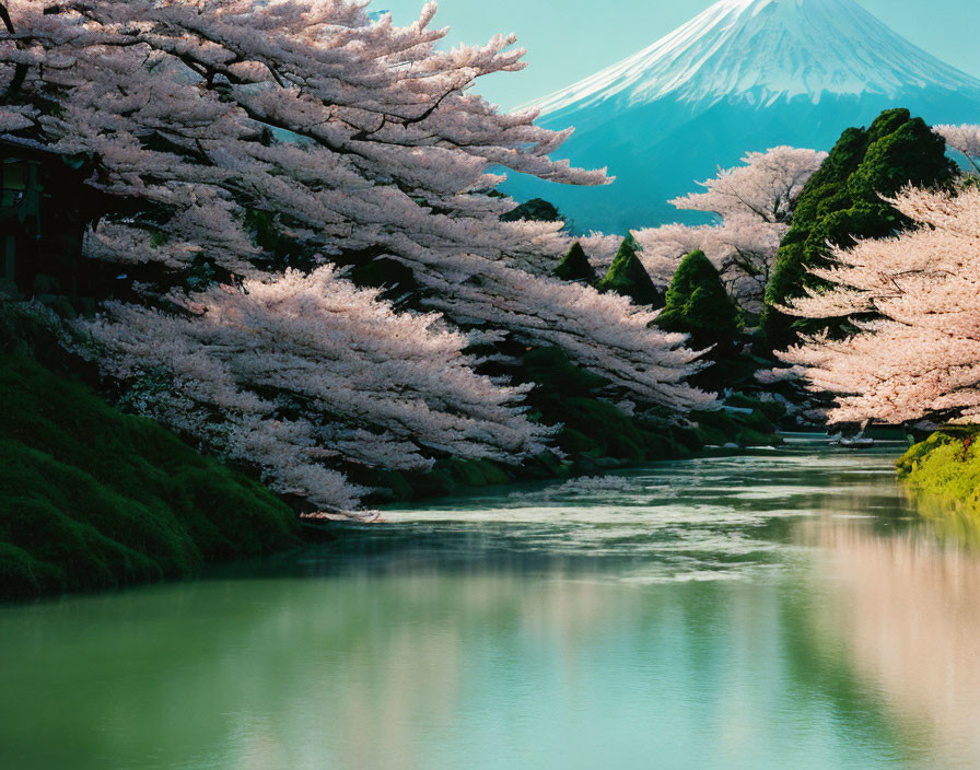 Scenic view of cherry blossoms, river, and Mount Fuji