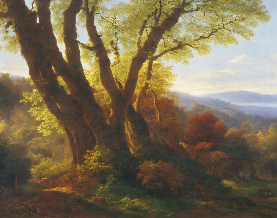 Tranquil forest scene with sunlight filtering through large trees