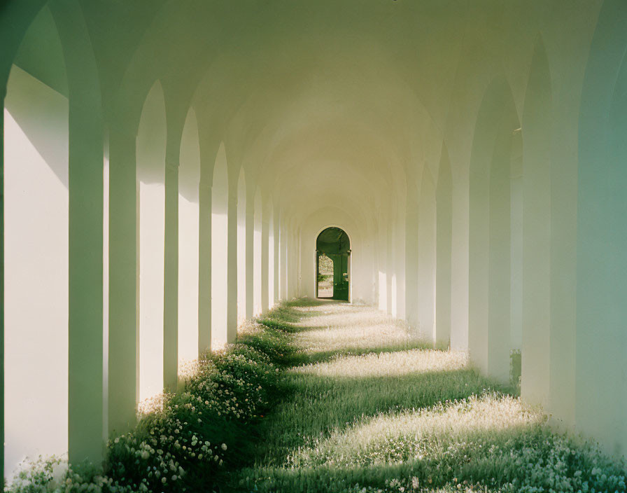 Tranquil corridor with arches, shadows, sunlight, and greenery
