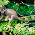 Colorful Mandrill Monkey Among Lush Green Foliage