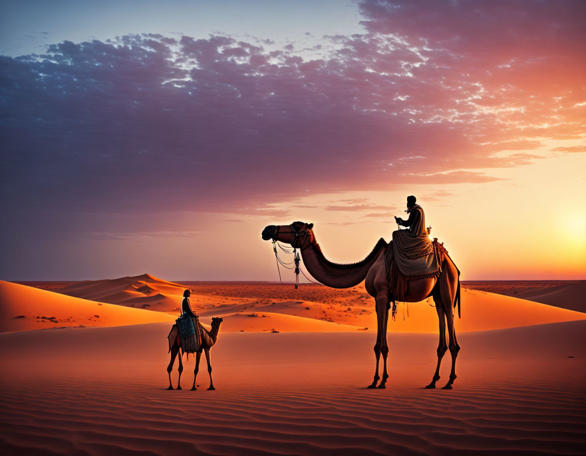 Two camels with riders in desert sunset scene.