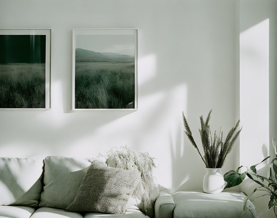 Grey Couch Living Room with Landscape Photos and Plants
