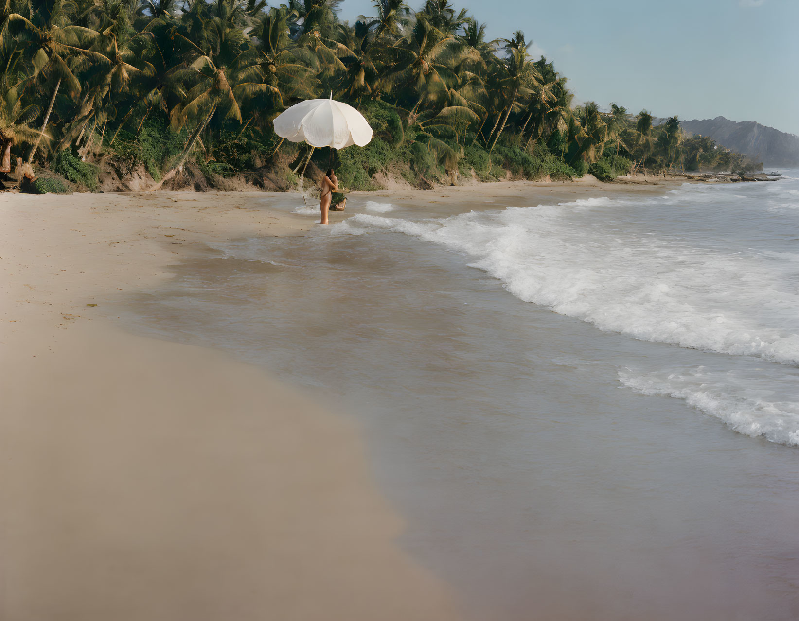 Person with white umbrella on sandy beach with palm trees and hills in background