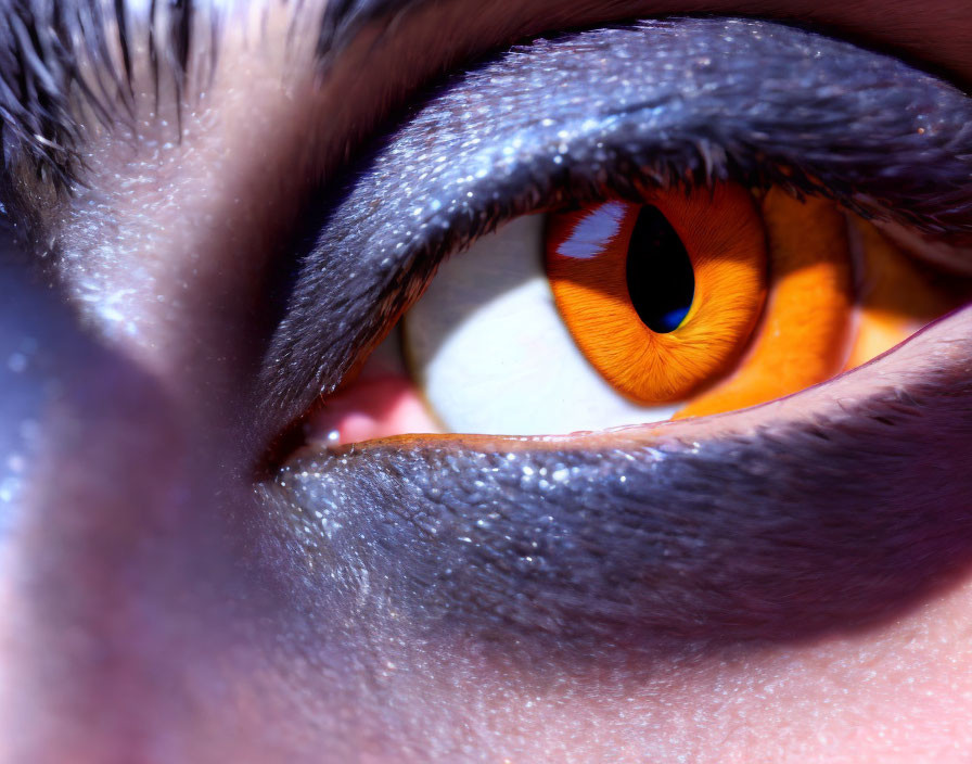 Detailed Close-Up of Human Eye with Vibrant Orange Iris