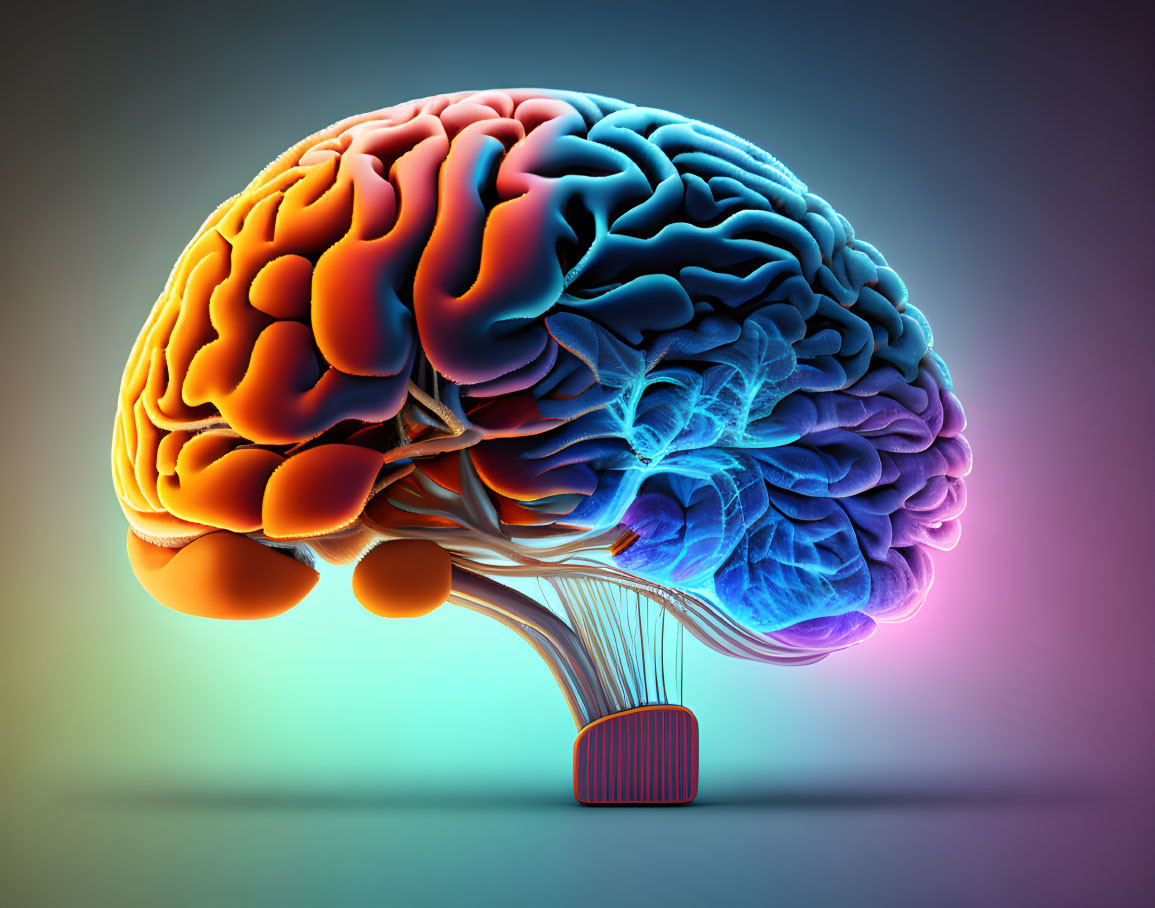 Vibrant digital illustration of human brain in warm and cool tones